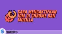 Cara Mengaktifkan IDM di Chrome dan Mozilla