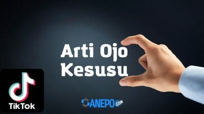 Arti Ojo Kesusu