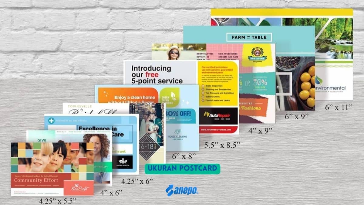 Ukuran Postcard dan Cara Membuat Postcard lewat Adobe Illustrator