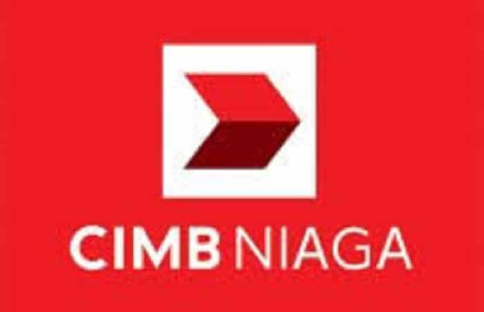 Cara Transfer CIMB Niaga ke DANA Dengan yang Dua Ini 2025