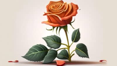 tutorial gambar bunga mawar