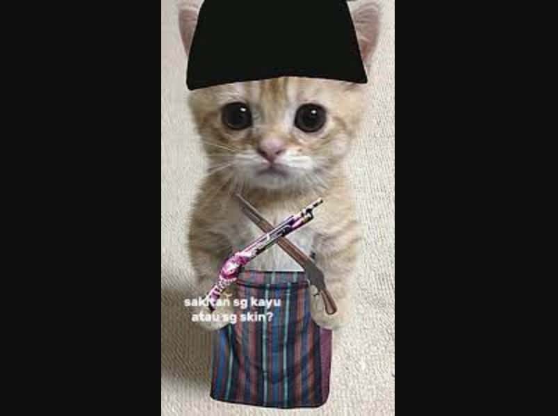 Download PP Kucing Ramadhan FF SG 2