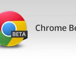Cara melihat versi Chrome.