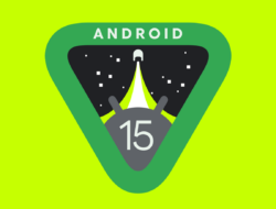 Daftar Ponsel yang Diprediksi Dapat Update Android 15