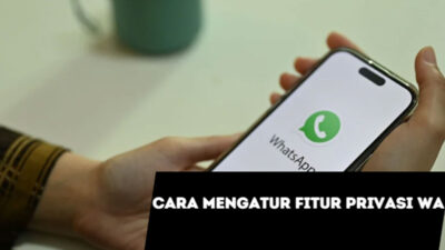 cara mengatur privasi WA