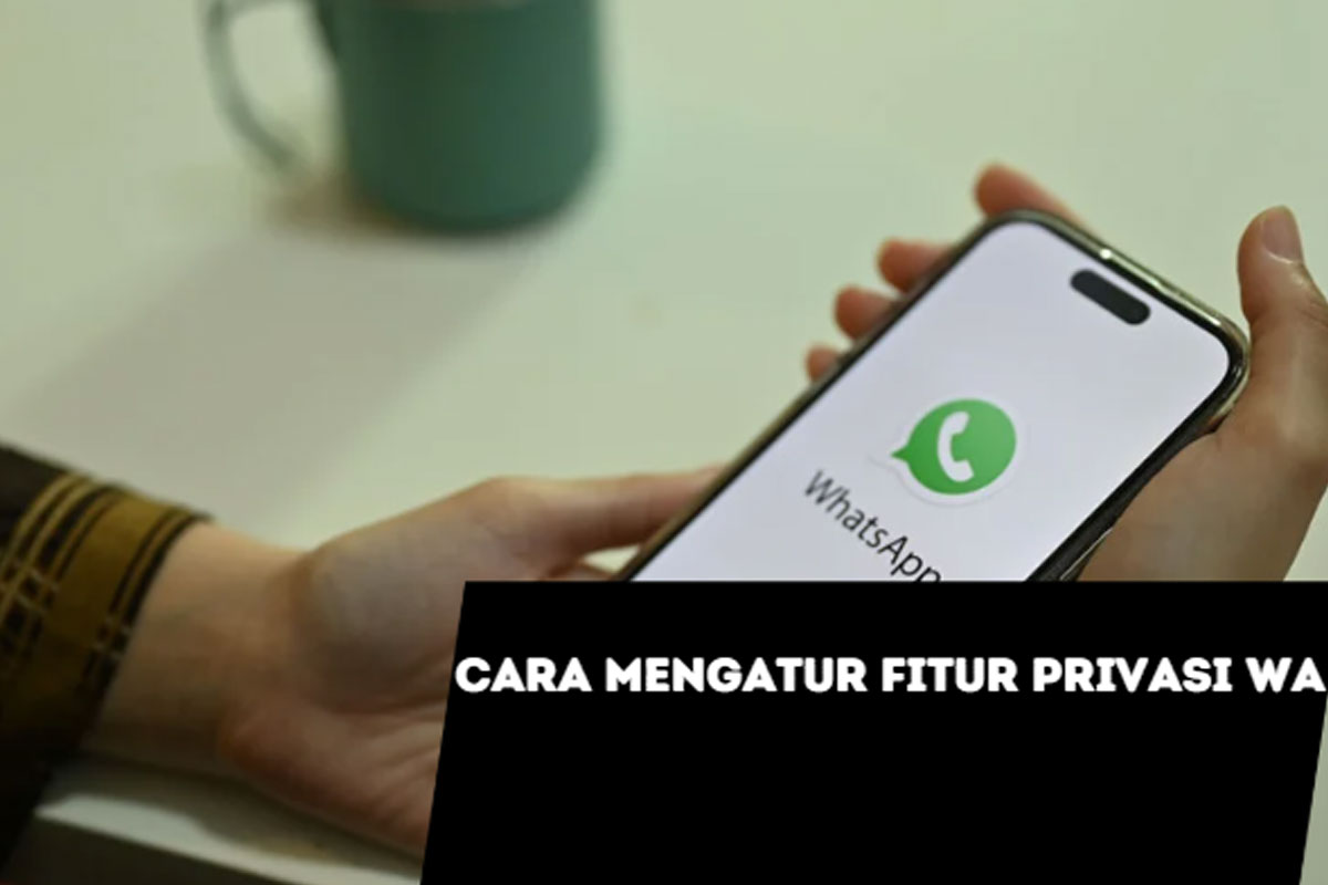 cara mengatur privasi WA